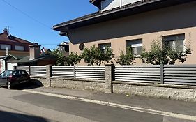 Villa Zoki - soba dnevni najam
